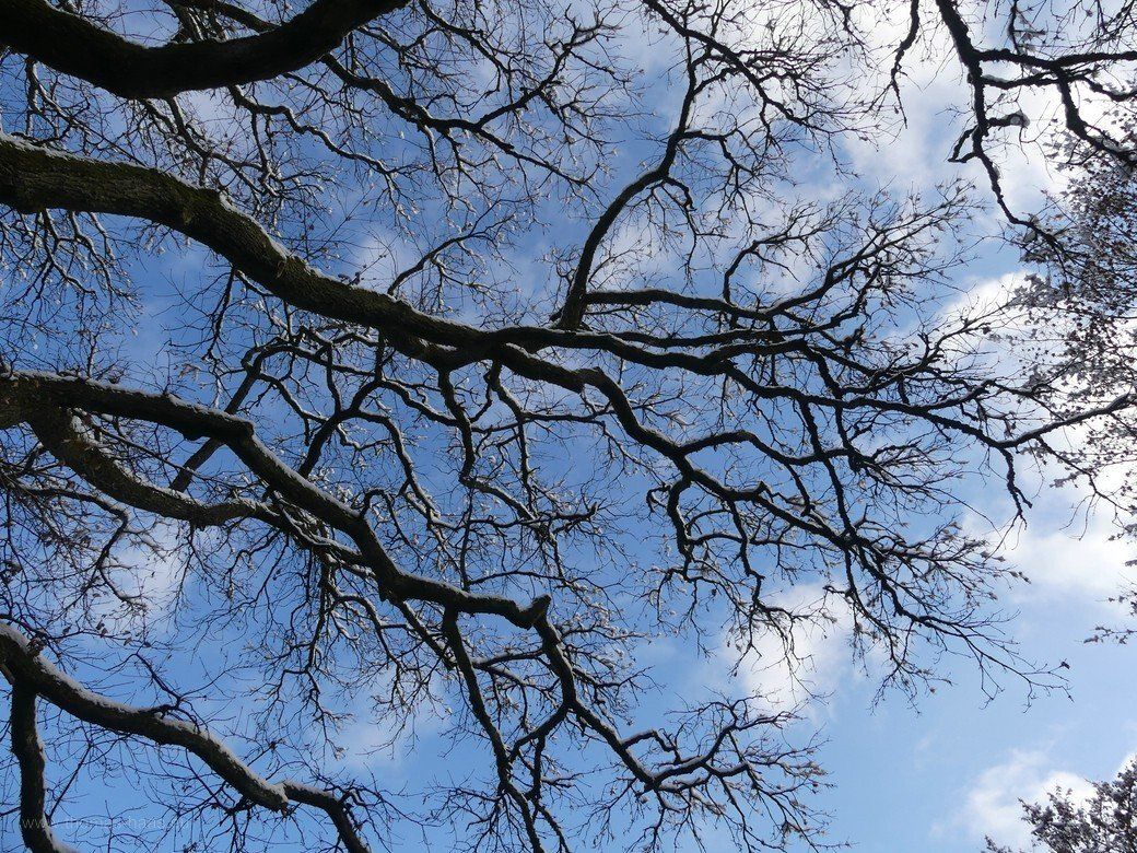 Salvator, Schwäbisch Gmünd...