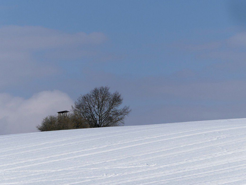 Schnee bis zum Horizont...