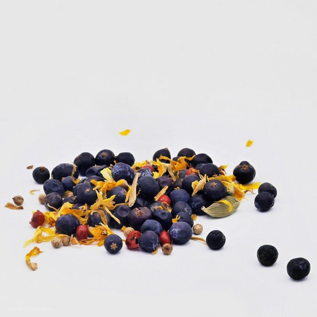 Das Motiv von Yannick Musch, der Aggenstein, 2021 Das Motiv von Yannick Musch, der Aggenstein, 2021