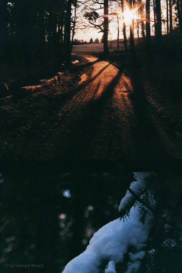 Das falsch beschnittene Ausgangsmotiv... Das falsch beschnittene Ausgangsmotiv...