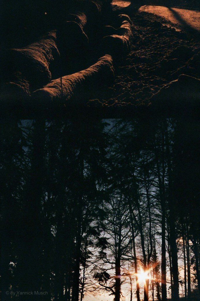 Klassischer Beschnittfehler am Fotoabzug... Klassischer Beschnittfehler am Fotoabzug...