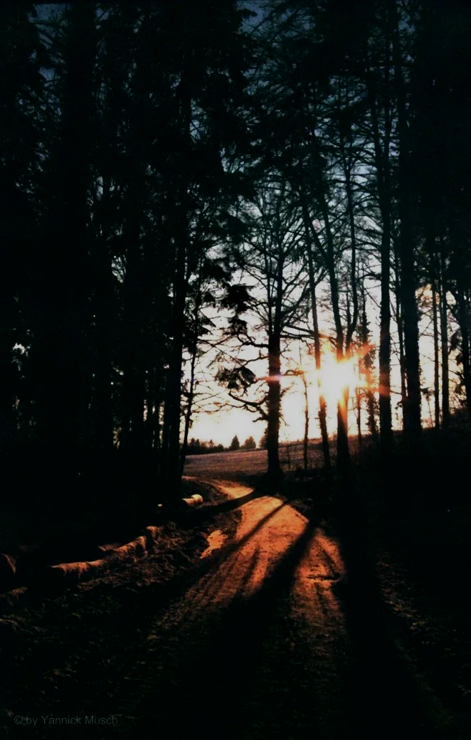 Das gerettete Motiv nach der Bearbeitung! Das gerettete Motiv nach der Bearbeitung!