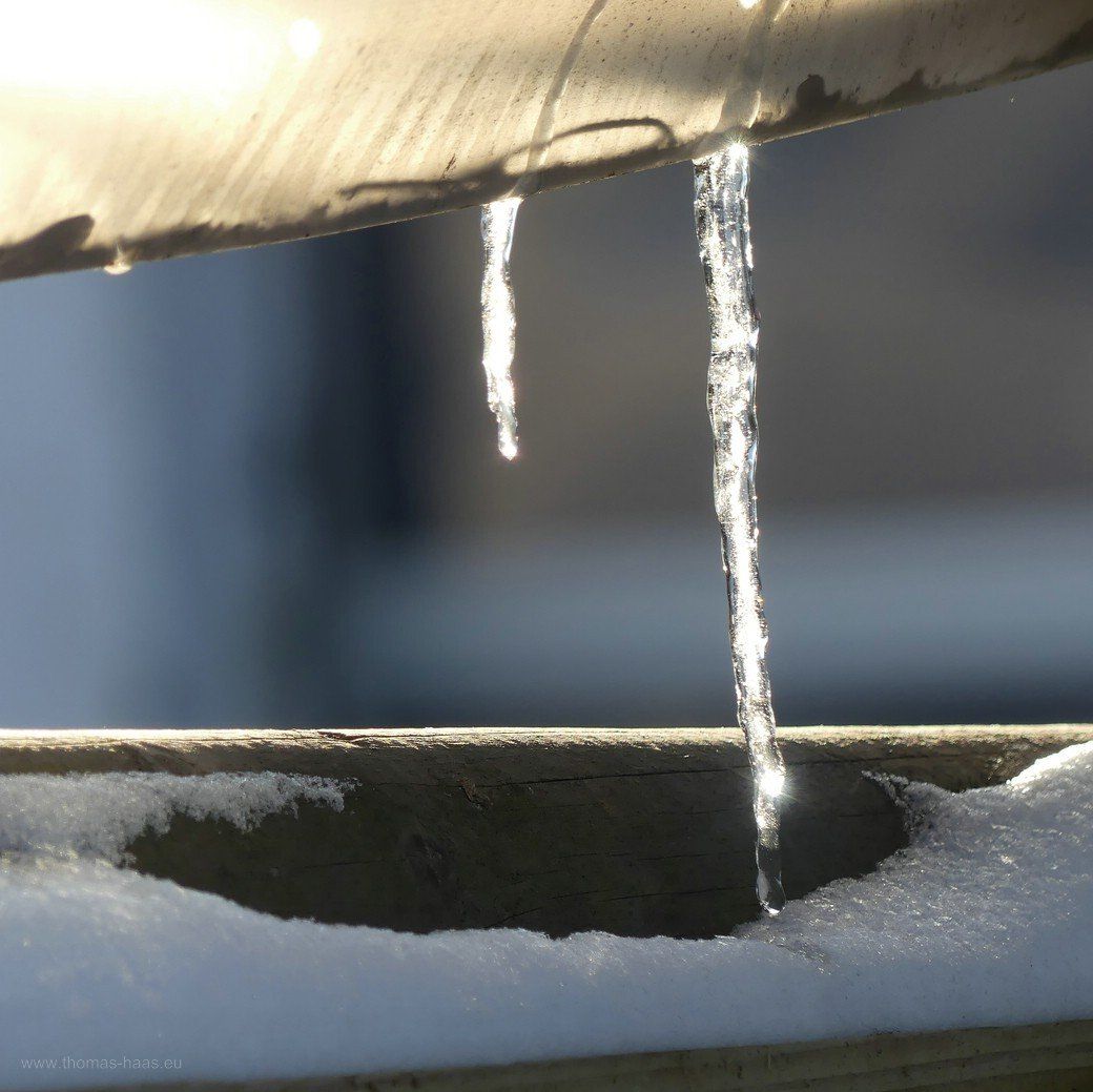 Zapfig kalt... - Eiszapfen, Februar 2021 Zapfig kalt... - Eiszapfen, Februar 2021
