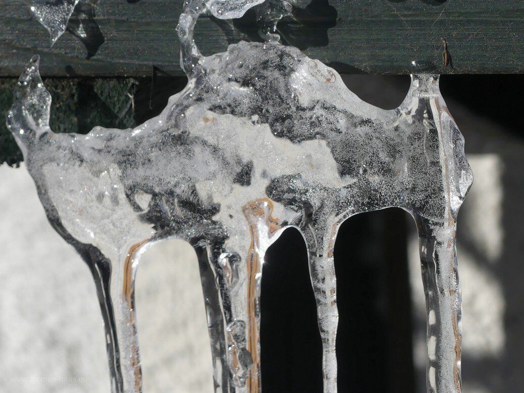 Eiszeit im Garten, Februar 2021 Eiszeit im Garten, Februar 2021