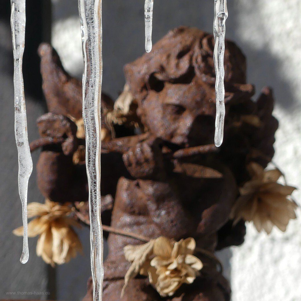 Eiszapfen im Garten, 2021 Eiszapfen im Garten, 2021