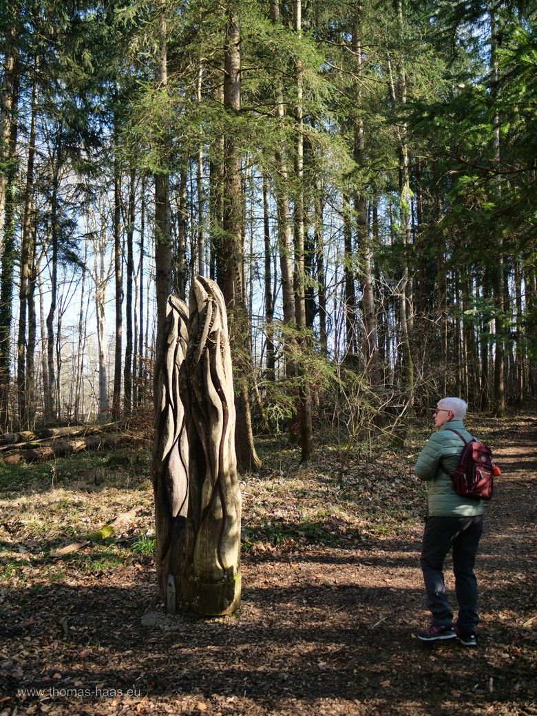 Der Waldgeister-Weg im Buxheimer Wald. Der Waldgeister-Weg im Buxheimer Wald.