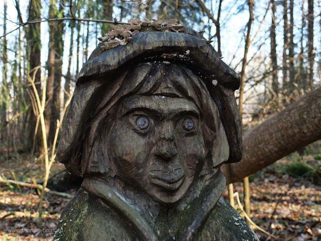 Waldgeist im Buxheimer Wald, Februar 2025 Waldgeist im Buxheimer Wald, Februar 2025