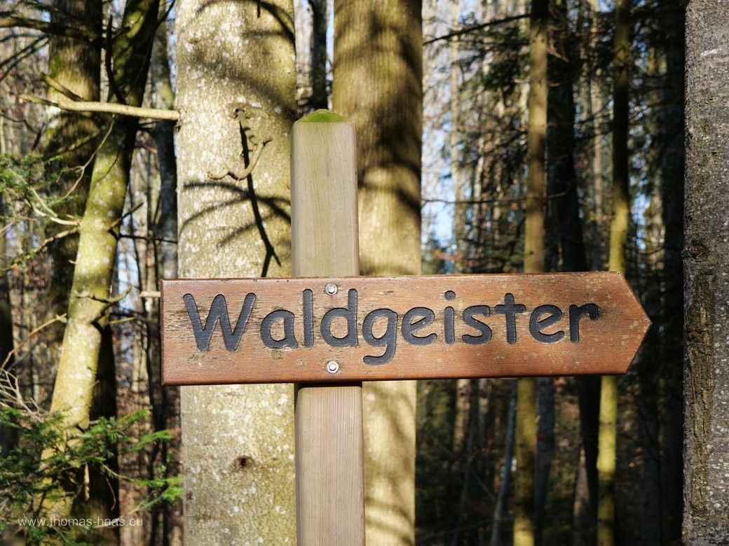 Auch die Waldgeister wurden ausgeschildert... Buxheimer Wald, 02/2025 Auch die Waldgeister wurden ausgeschildert... Buxheimer Wald, 02/2025