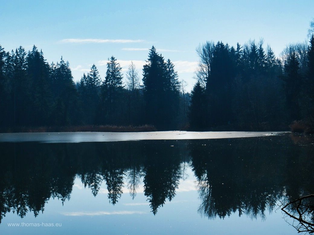 Einer der fünf kleinen Weiher im Buxheimer Wald, Februar 2025 Einer der fünf kleinen Weiher...