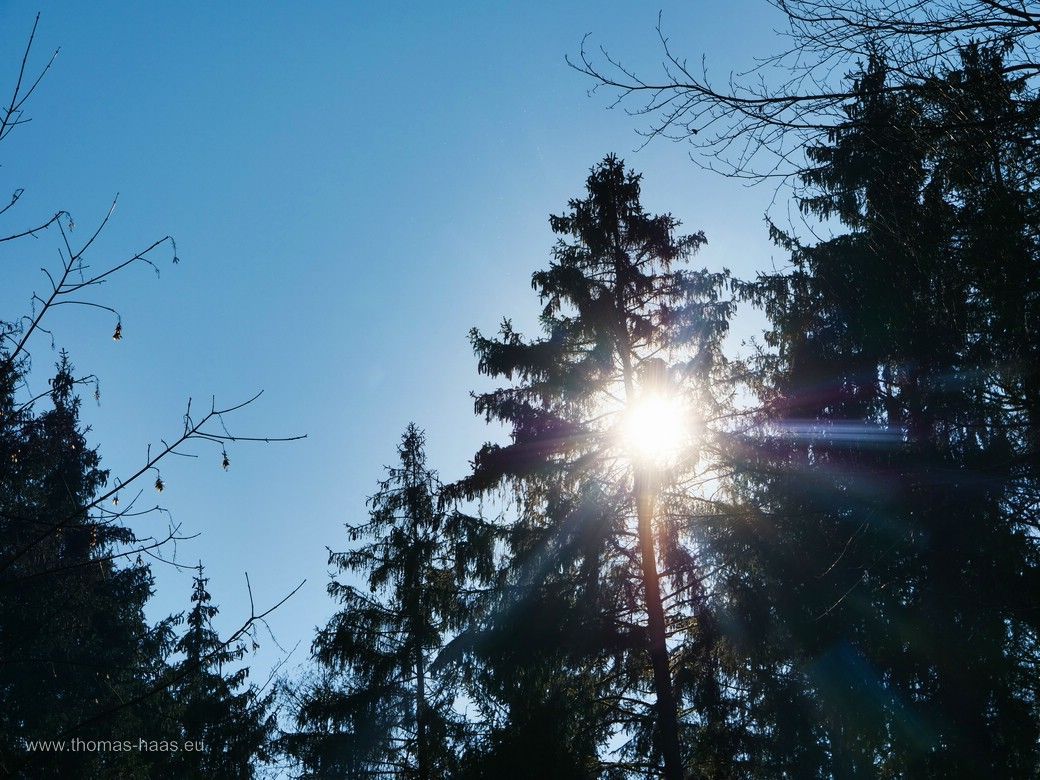Die Sonne täuscht, es war noch richtig kalt... Die Sonne täuscht, es war noch richtig kalt...