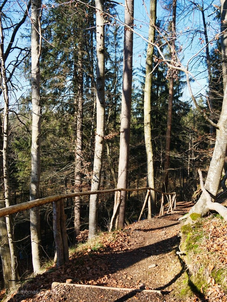 Abstieg in Richtung der Iller, Februar 2025 Abstieg in Richtung der Iller, Februar 2025