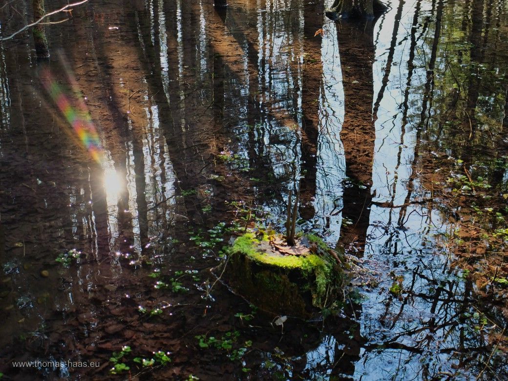 Nature-Art und Lichtspiele im Wasser... Nature-Art und Lichtspiele im Wasser...