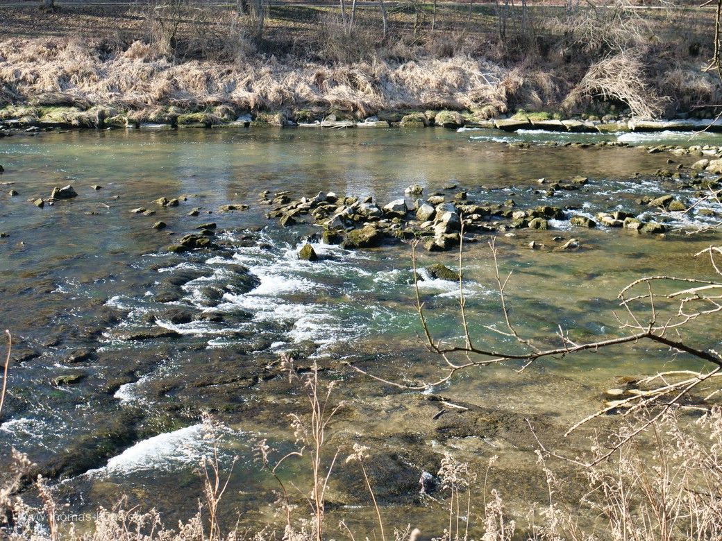 An der Iller angekommen, Buxheimer Wald, Februar 2025 An der Iller angekommen...