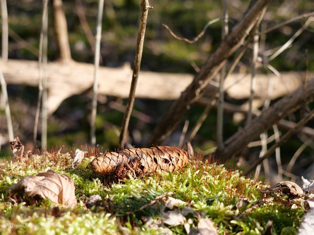 Und noch einmal Nature-Art... Und noch einmal Nature-Art...