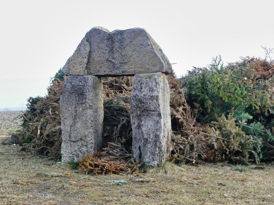 Ulmer Stonehenge - zur Sonnenwende fallen die Strahlen der aufgehenden Sonne durch das Tor... Ulmer Stonehenge - zur Sonnenwende fallen die Strahlen der aufgehenden Sonne durch das Tor...