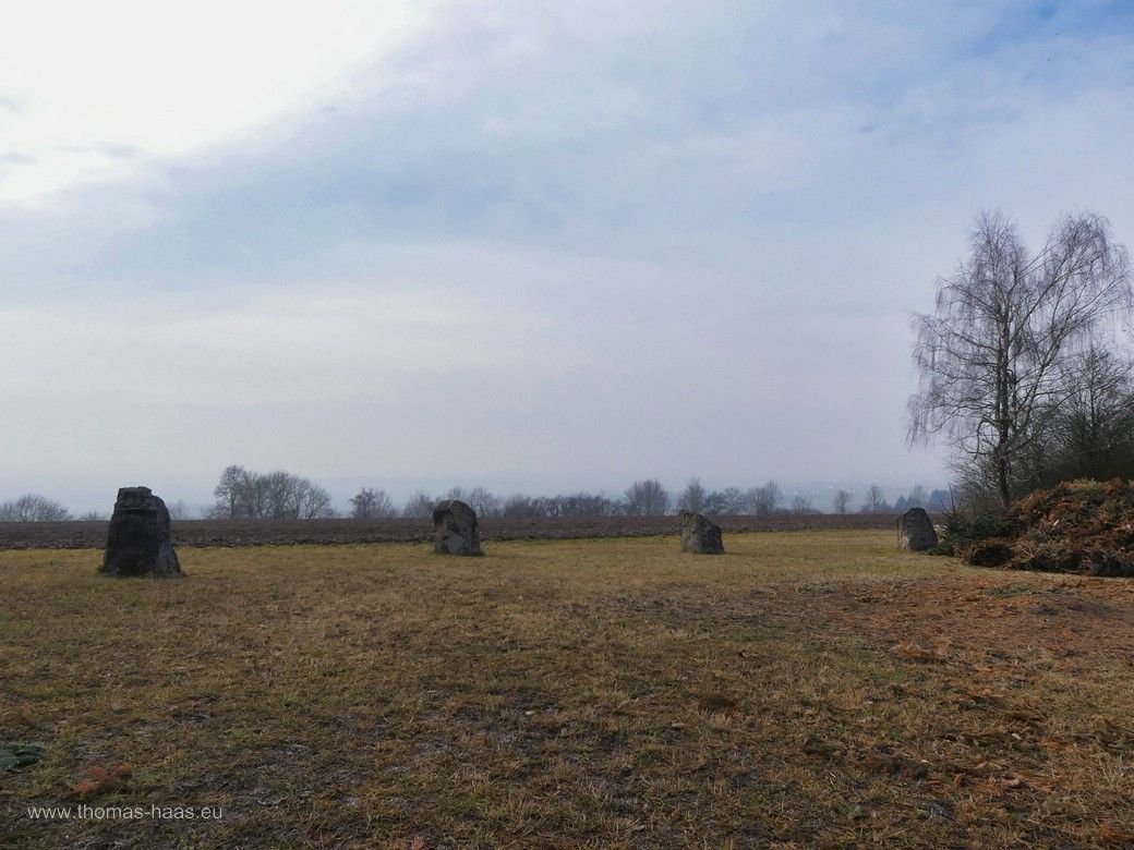 12 Steine stehen im Radius von 12 m im Ulmer Stadtteil Ermingen... 12 Steine stehen im Radius von 12 m
im Ulmer Stadtteil Ermingen...