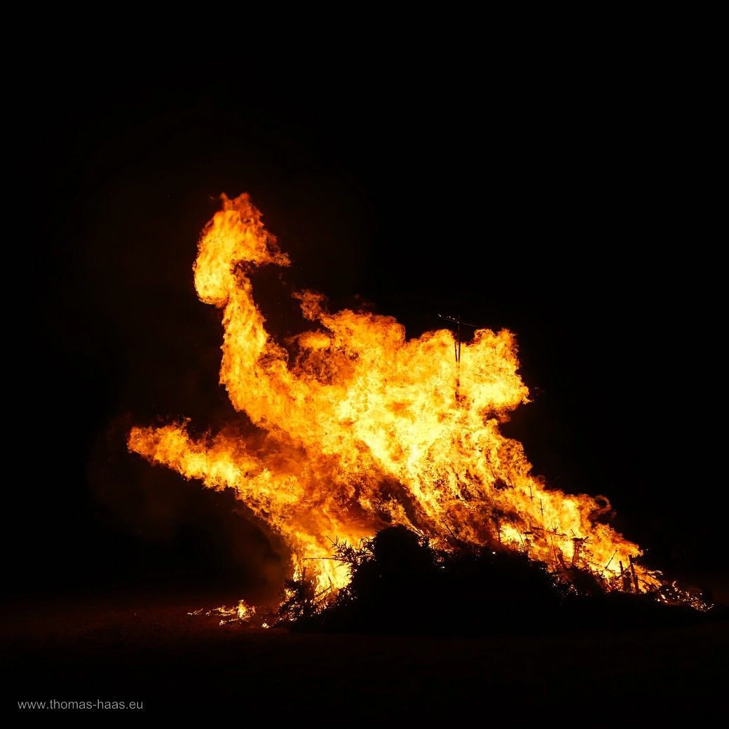 Feuerdrache- Funkenfeuer 2025 Feuerdrache- Funkenfeuer 2025