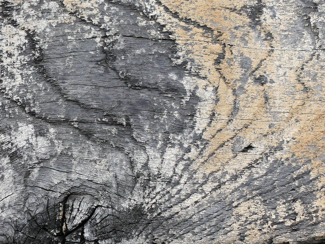 Hintergrundgedanke 4 - Holzstruktur Hintergrundgedanke 4