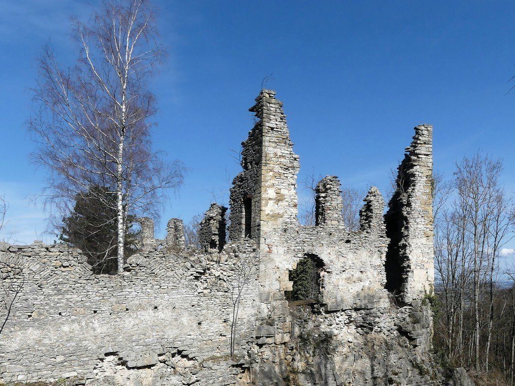 Burgruine Lauterburg, März 2021 Burgruine Lauterburg, März 2021