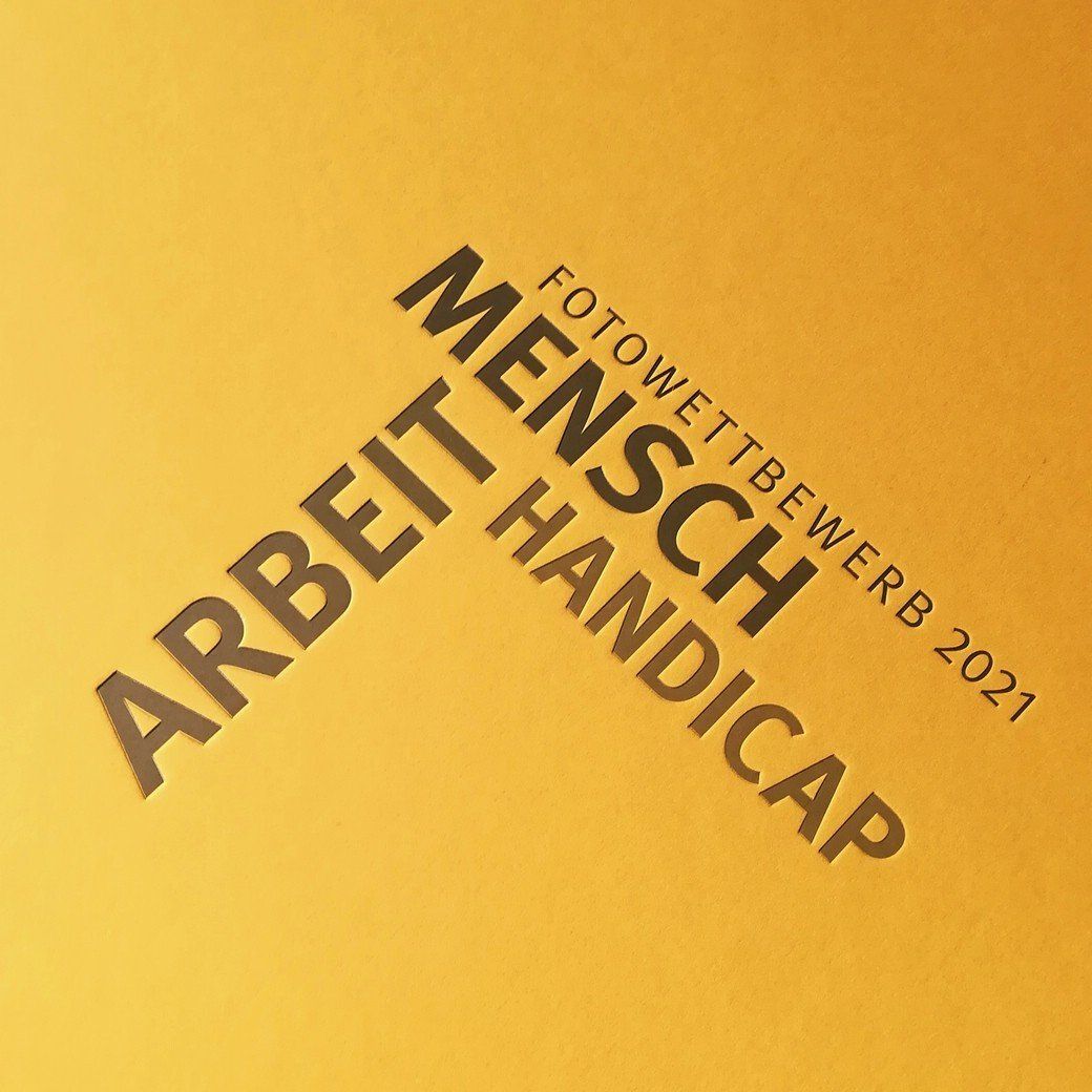 Im Buch geblättert...