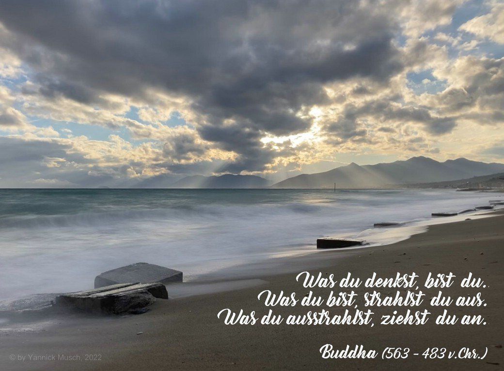 Ein Buddha-Zitat ist der Motivationsspruch für den Monat Mai - ein Motiv von Yannick Musch. Ein Buddha-Zitat ist der Motivationsspruch für den Monat Mai - ein Motiv von Yannick Musch.