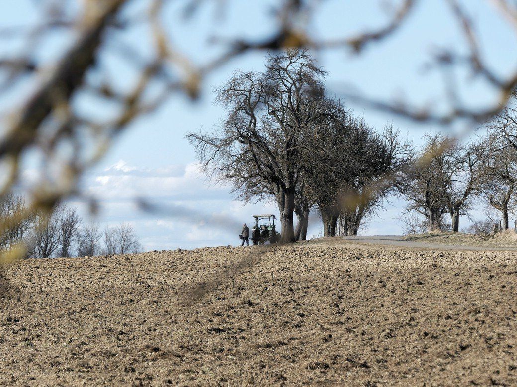 Feldarbeit im März 2022 Feldarbeit im März 2022