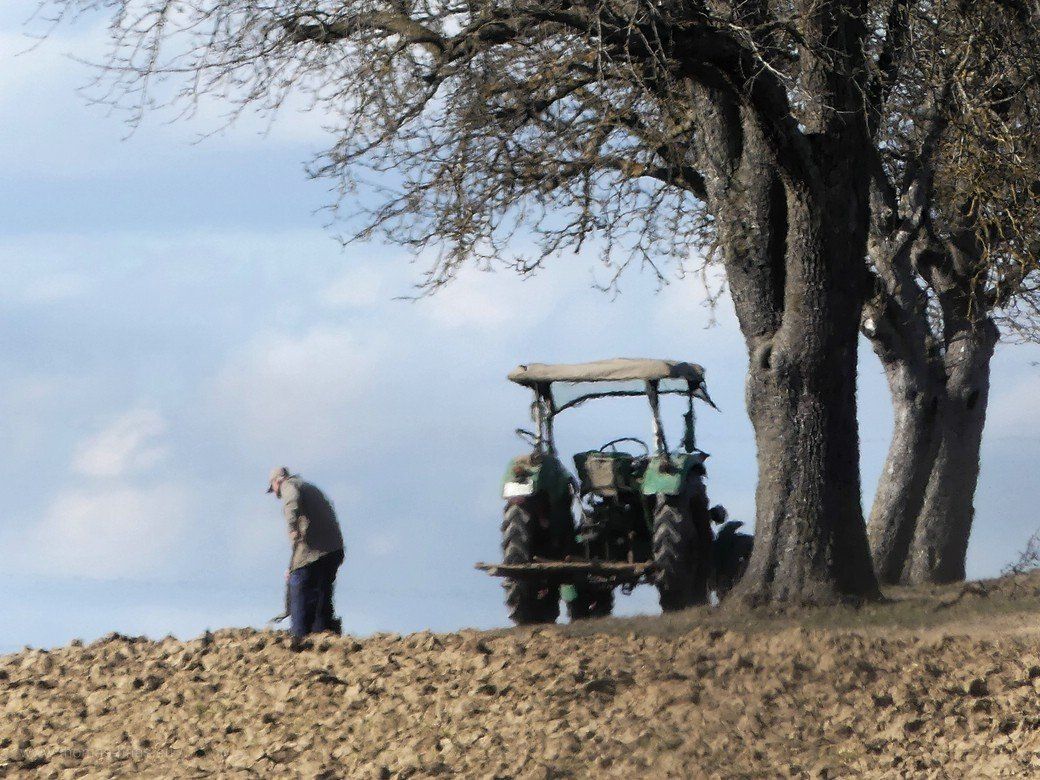 Feldarbeit im März 2022 Feldarbeit im März 2022