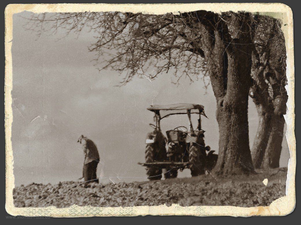 40 Jahre zurückgesetzt, Landwirtschaft... So hätte das Motiv vor 40 Jahren wohl ausgesehen...