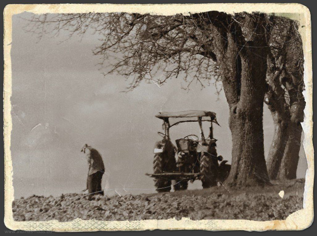 Ein Landwirt bei der Arbeit, so wie vor Jahren mein Großvater. Erinnerungen...