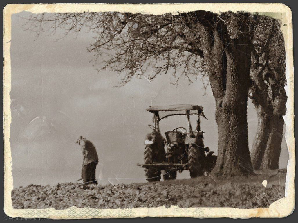 Ein Landwirt bei der Arbeit, so wie vor Jahren mein Großvater. Ein Landwirt bei der Arbeit, so wie vor Jahren mein Großvater. Erinnerungen...