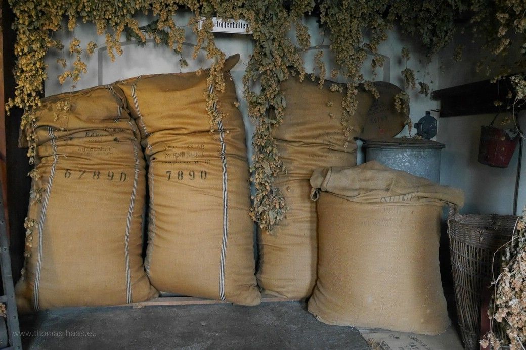 Hopfensäcke im Museum, 2023