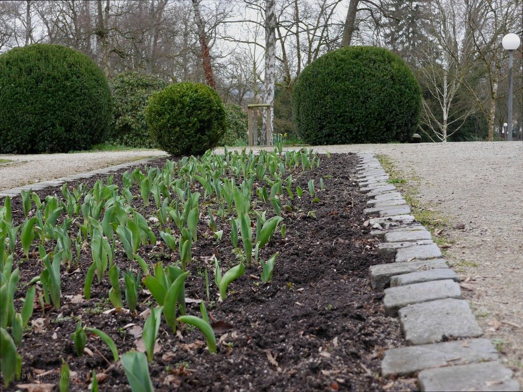 Alles wurde ausprobiert: Perspektive und Eckläufer, © by Lucas Musch, 2023 Alles wurde ausprobiert: Perspektive und Eckläufer, © by Lucas Musch, 2023