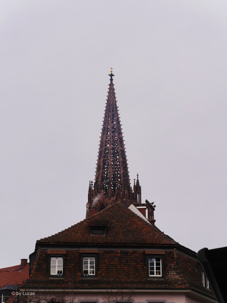 Freiburg, Münsterspitze, © by Lucas