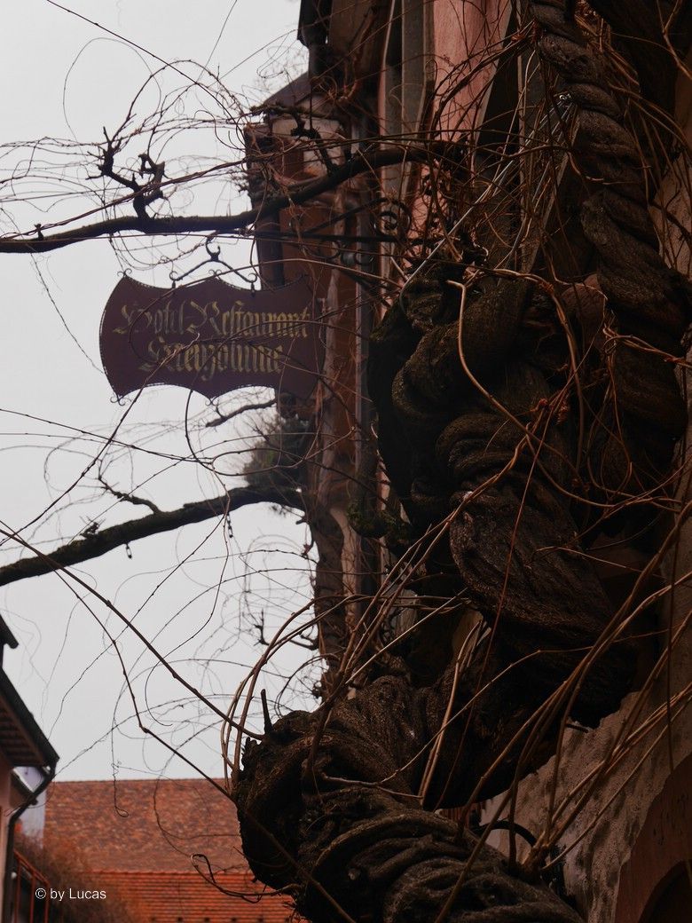 Freiburg, Altstadt, Detail, © by Lucas