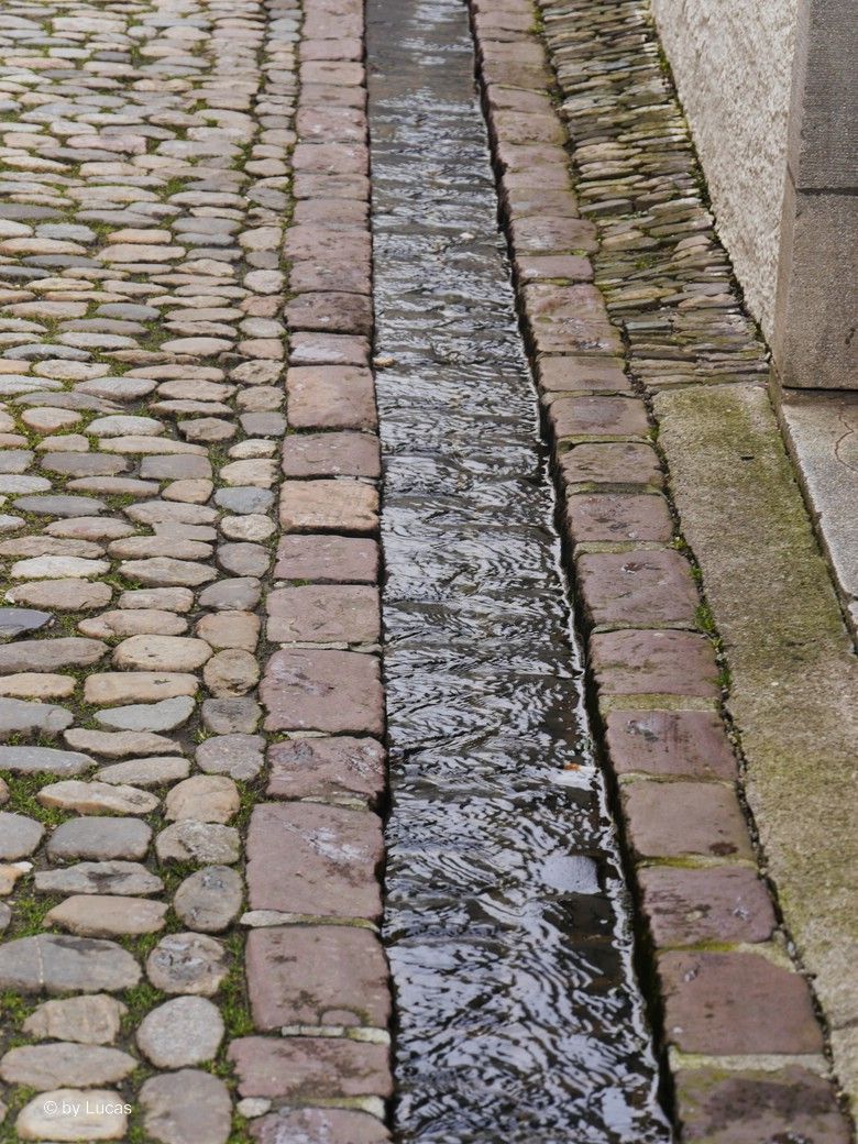Freiburg, Altstadt-Detail, Wasserlauf © by Lucas, 2025 Freiburg, Altstadt-Detail, Wasserlauf © by Lucas, 2025