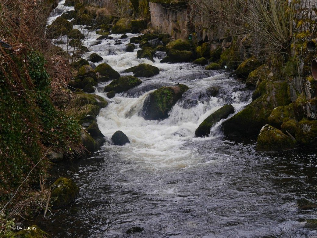 Triberger Wasserfälle, auf dem Weg zur Plattform, © by Lucas, 2025 Triberger Wasserfälle, auf dem Weg zur Plattform, © by Lucas, 2025