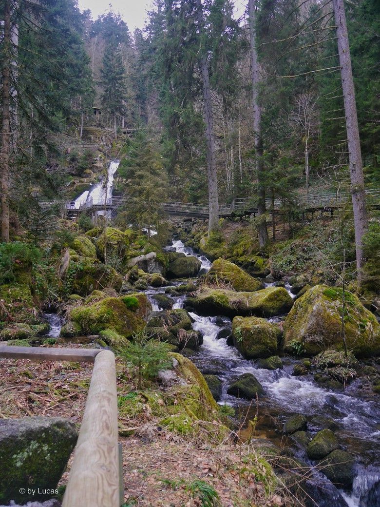Triberger Wasserfall, Impressionen von © Lucas, 2025 Triberger Wasserfall, Impressionen von © Lucas, 2025