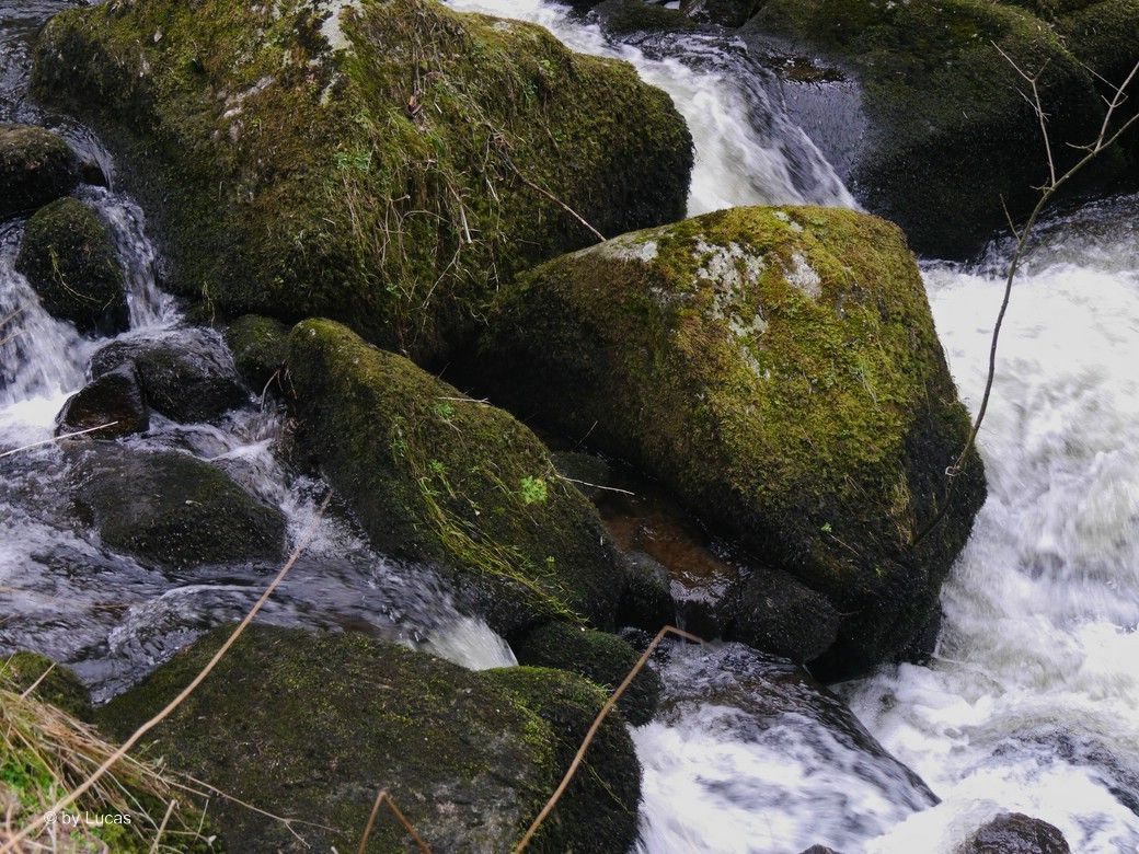 Der Teaser zu den Triberger Wasserfällen! © by Lucas, 2025 Der Teaser zu den Triberger Wasserfällen! © by Lucas, 2025