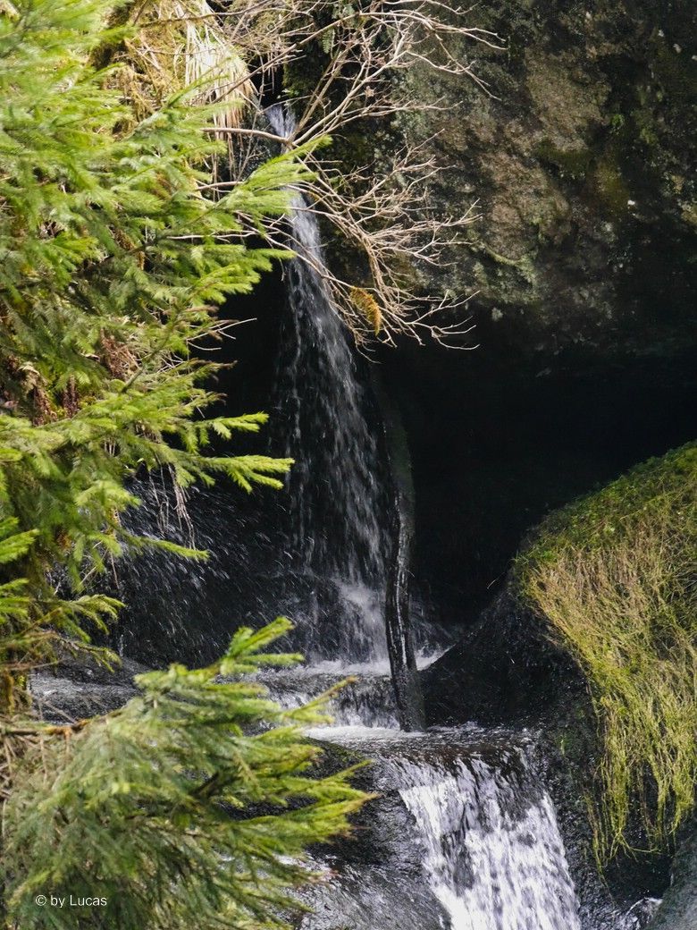 Triberger Wasserfall, Impressionen von © Lucas, 2025 Triberger Wasserfall, Impressionen von © Lucas, 2025