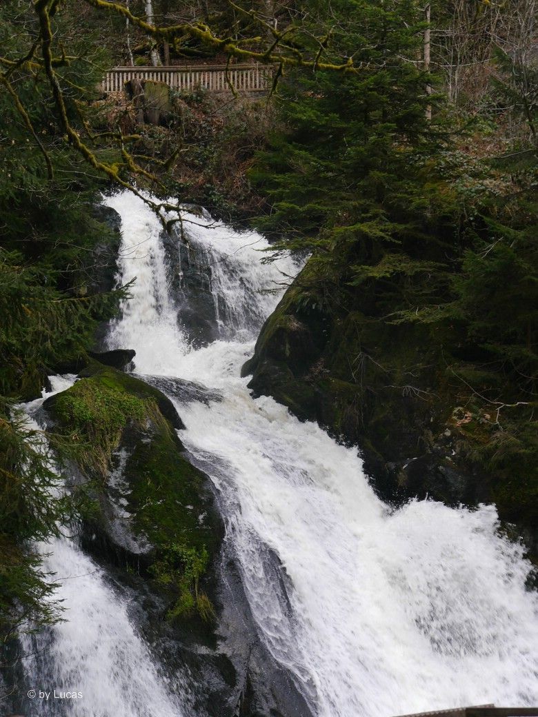 Triberger Wasserfall, Impressionen von © Lucas, 2025 Triberger Wasserfall, Impressionen von © Lucas, 2025