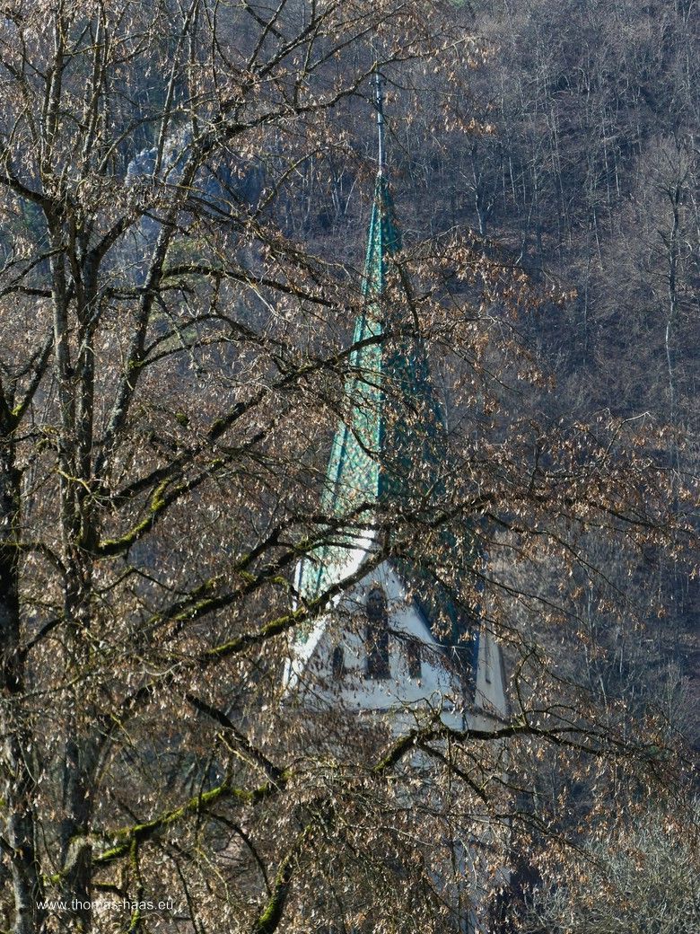 Der Kirchturm der Klosterkirche durch das Geäst... Der Kirchturm der Klosterkirche durch das Geäst...