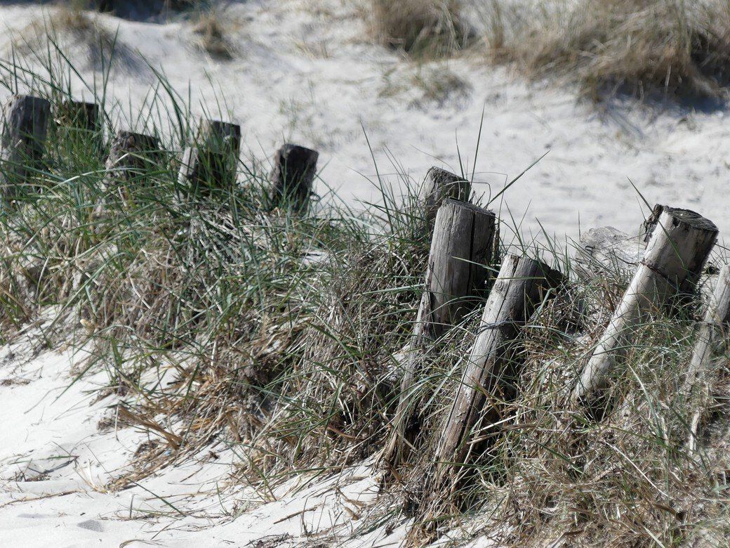 Am Strand in Damp... - April 2021 Am Strand in Damp...