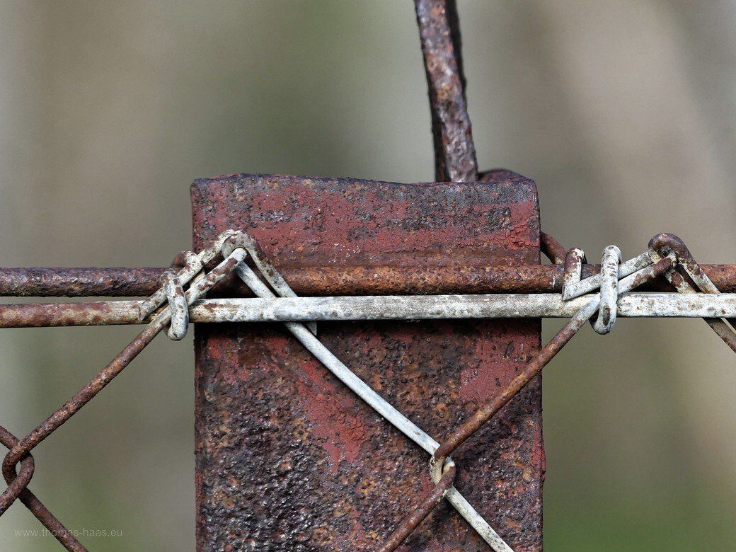 Der Zaun an der Obstplantage, Bellenberg, 2022 Der Zaun an der Obstplantage, Bellenberg, 2022