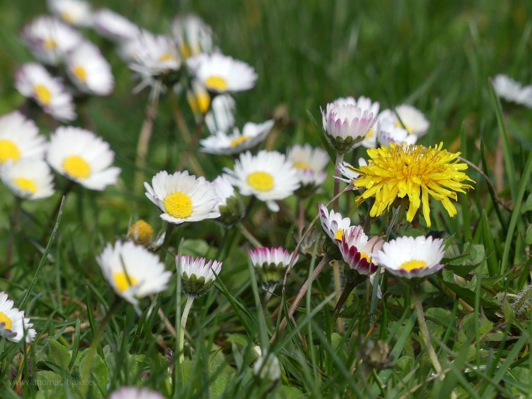 Drum herum Baustelle: Fassade, Eingangsbereich... © by L.M. Drum herum Baustelle: Fassade, Eingangsbereich... © by L.M.
