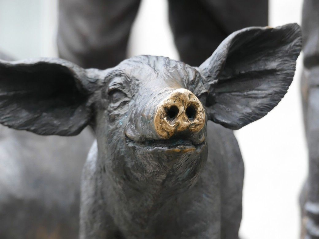 Denkmal am Schweinmarkt in Ulm... Denkmal am Schweinmarkt in Ulm...