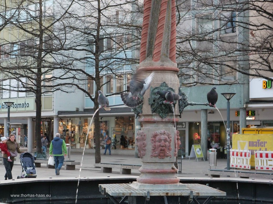 Bewegung: Landeplatz gesucht! Taube im Anflug auf den Löwenbrunnen, Münsterplatz, Ulm Bewegung: Landeplatz gesucht! Taube im Anflug auf den Löwenbrunnen, Münsterplatz, Ulm