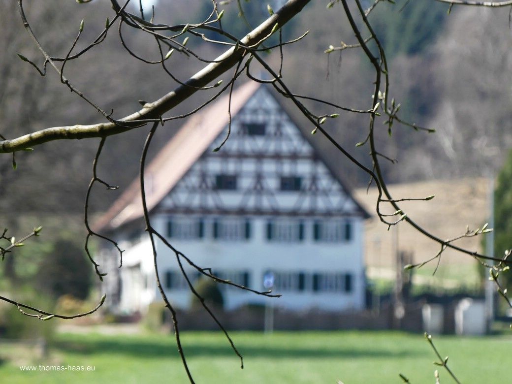 Der Blick auf Asch... Der Blick auf Asch...