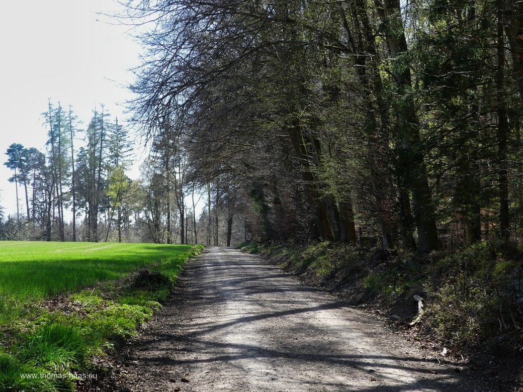 Der Anstieg bei Biberachzell... Der Anstieg bei Biberachzell...