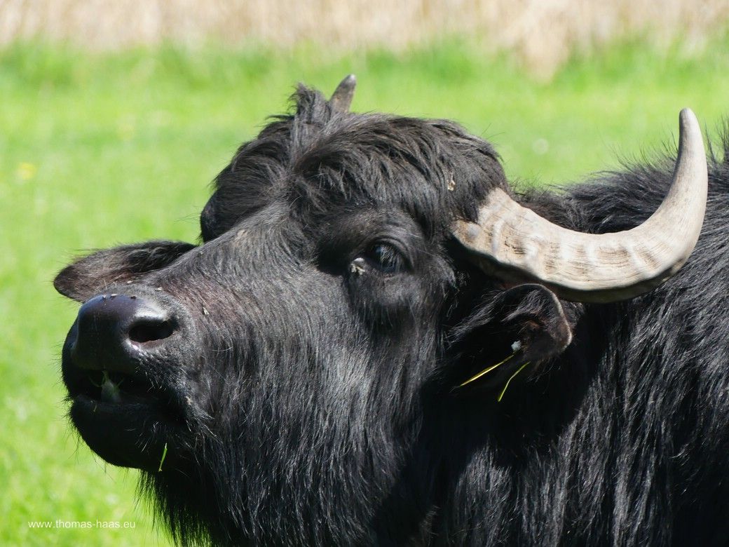 Bekannt aus den Medien, die Lady bleibt cool... Bekannt aus den Medien, die Lady bleibt cool...