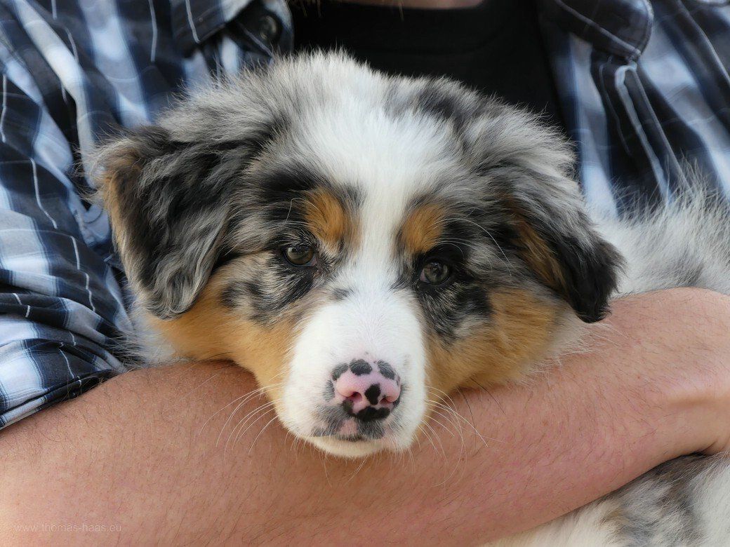 Bella, in Sicherheit... Bella, in Sicherheit...